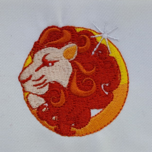 20260121_132811_resized